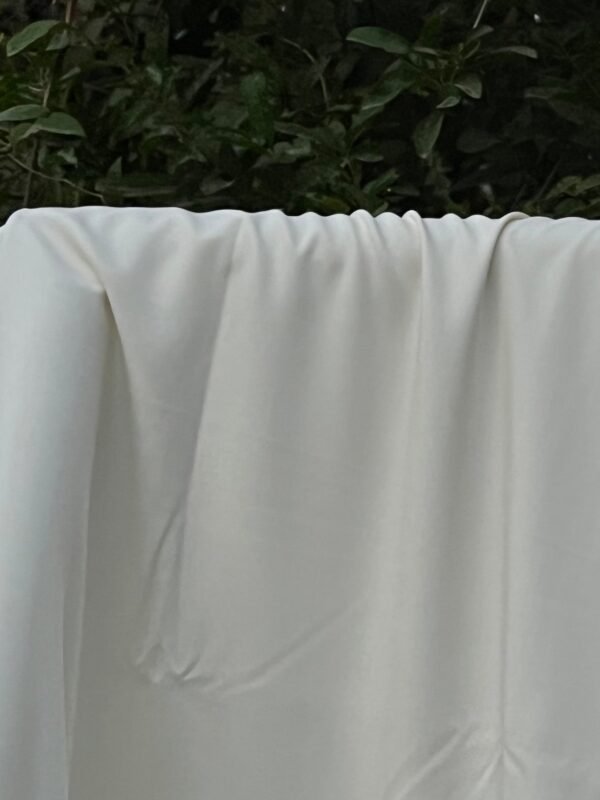 Hayat-e-Nau | Suit 4